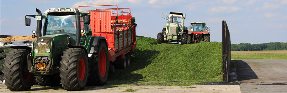 Headerbild Aktivitäten: Trecker legen Silage an