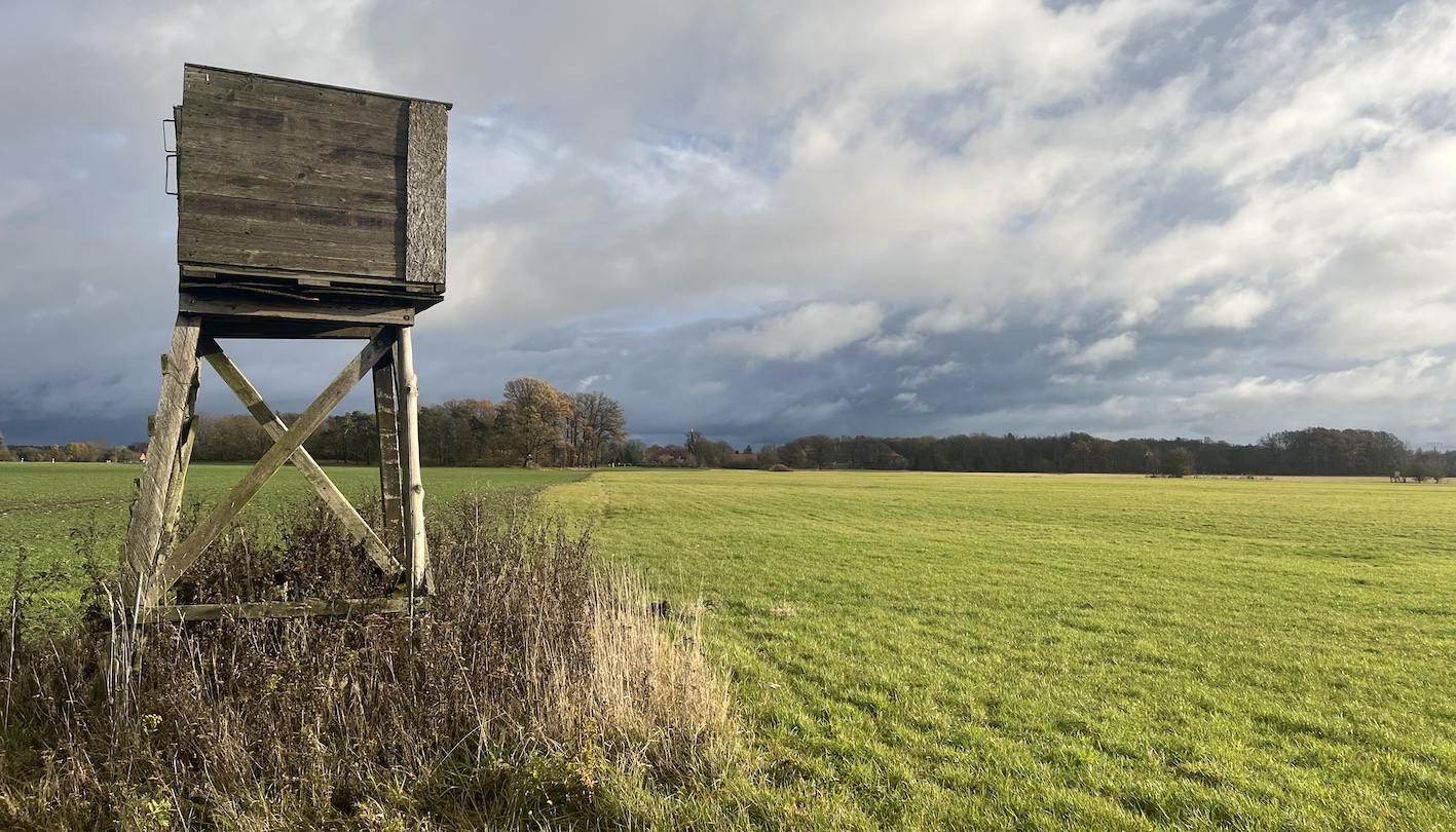 Wolf im Visier: Die Landesregierung muss nicht nur das Jagdgesetz, sondern auch die Wolfsverordnung ändern